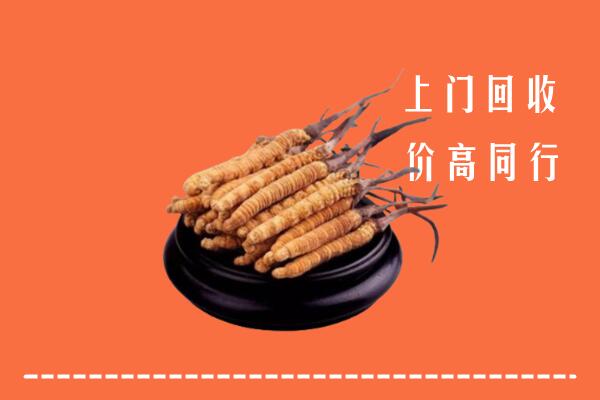 附近收购：上海黄浦区冬虫夏草回收多少钱每克