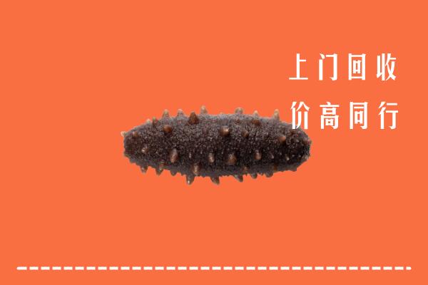 附近收购：上海黄浦区回收海参