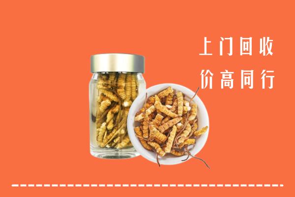 附近收购：上海黄浦区回收冬虫夏草